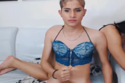 attractive sheboys pleasure Each Others cocks And Holes