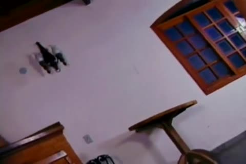Brazilian blonde tranny slamming Her Boyfriend