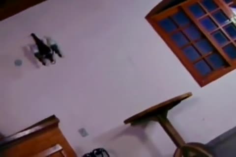 Brazilian blonde lady-man nailing Her Boyfriend