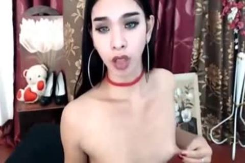 sleazy petite Tit Ladyboy web camera