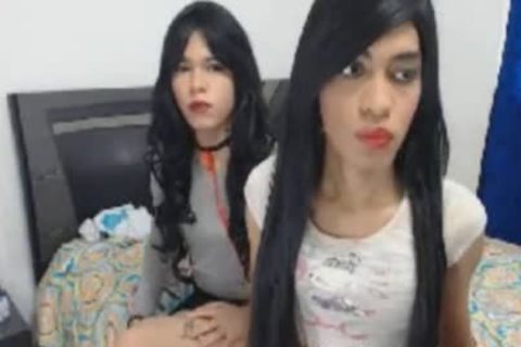 Two fine ladyboy engulf And bang