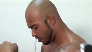 TSRoadtrip: Unleashing the Wild in Transsexual Love