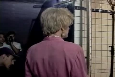 Peli Transex Vintage two