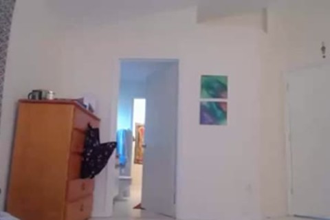 horny Femboy Solo