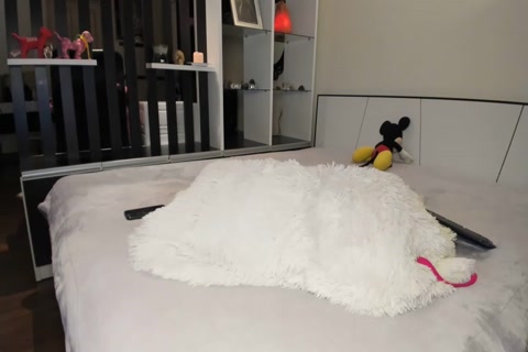 Fishtgirlworld 2021 04 01 On cam