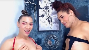 lady-man couple enjoyment Each Other ramrods