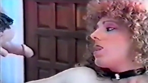 1977 Vintage shelady Porn Classic