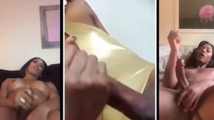 ebony Trans Tri Screen cum Shots