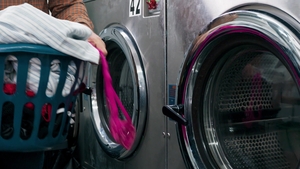 TransSensual: Suds, Sniffs, and Satisfactions