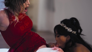 Transgressive Films: Dreams Dashed In Lace