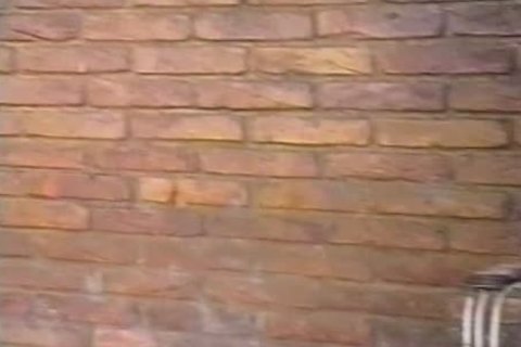 Two dirty Stgreetingss studmales suck Two stiff Tgreetingsck ramrods Ttgreetingss studn get wet asshole plowed outdoors